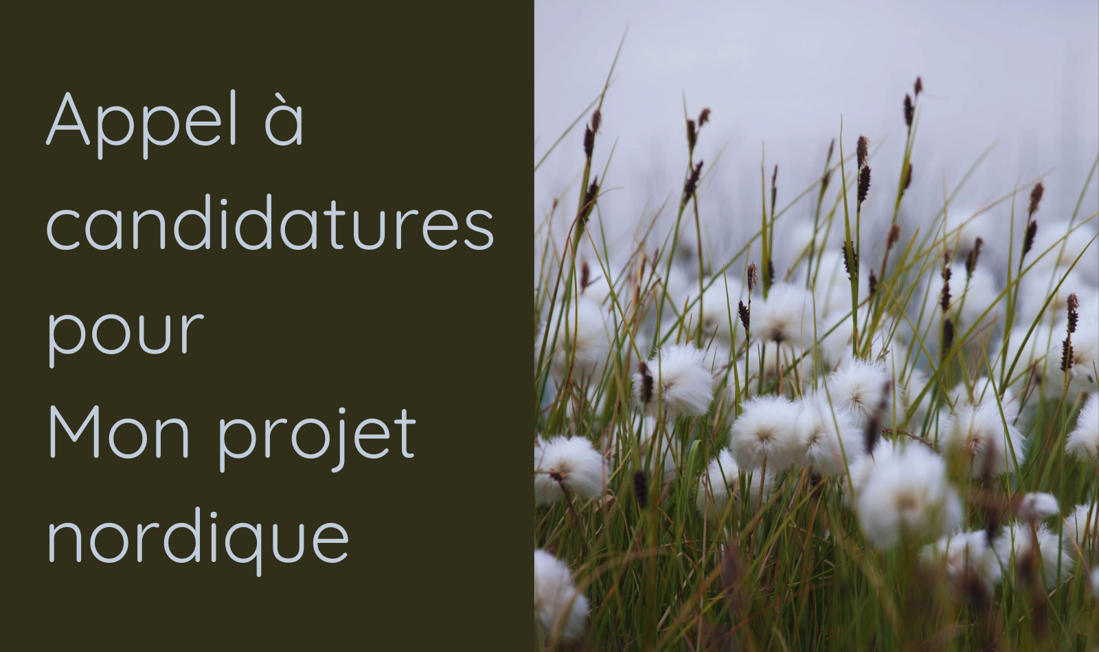 appel-candidatures-mpn2022