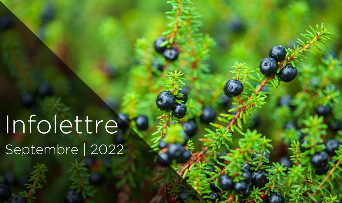 infolettreSeptembre2022