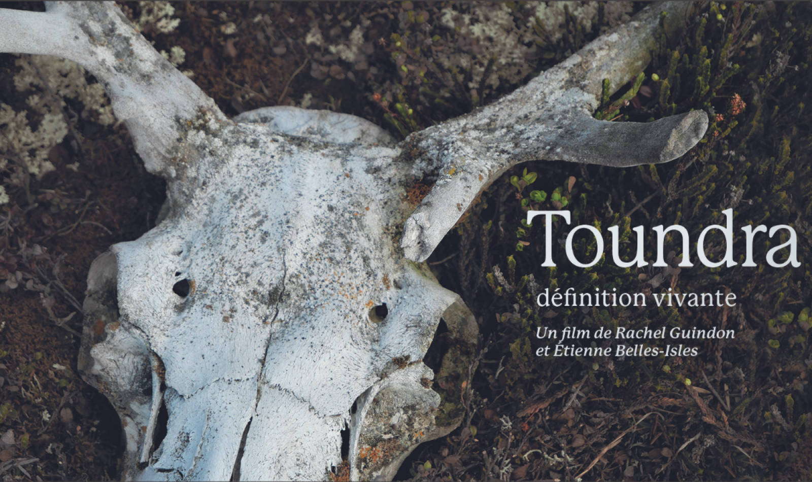 toundra-lexique-nordique-mars-2023