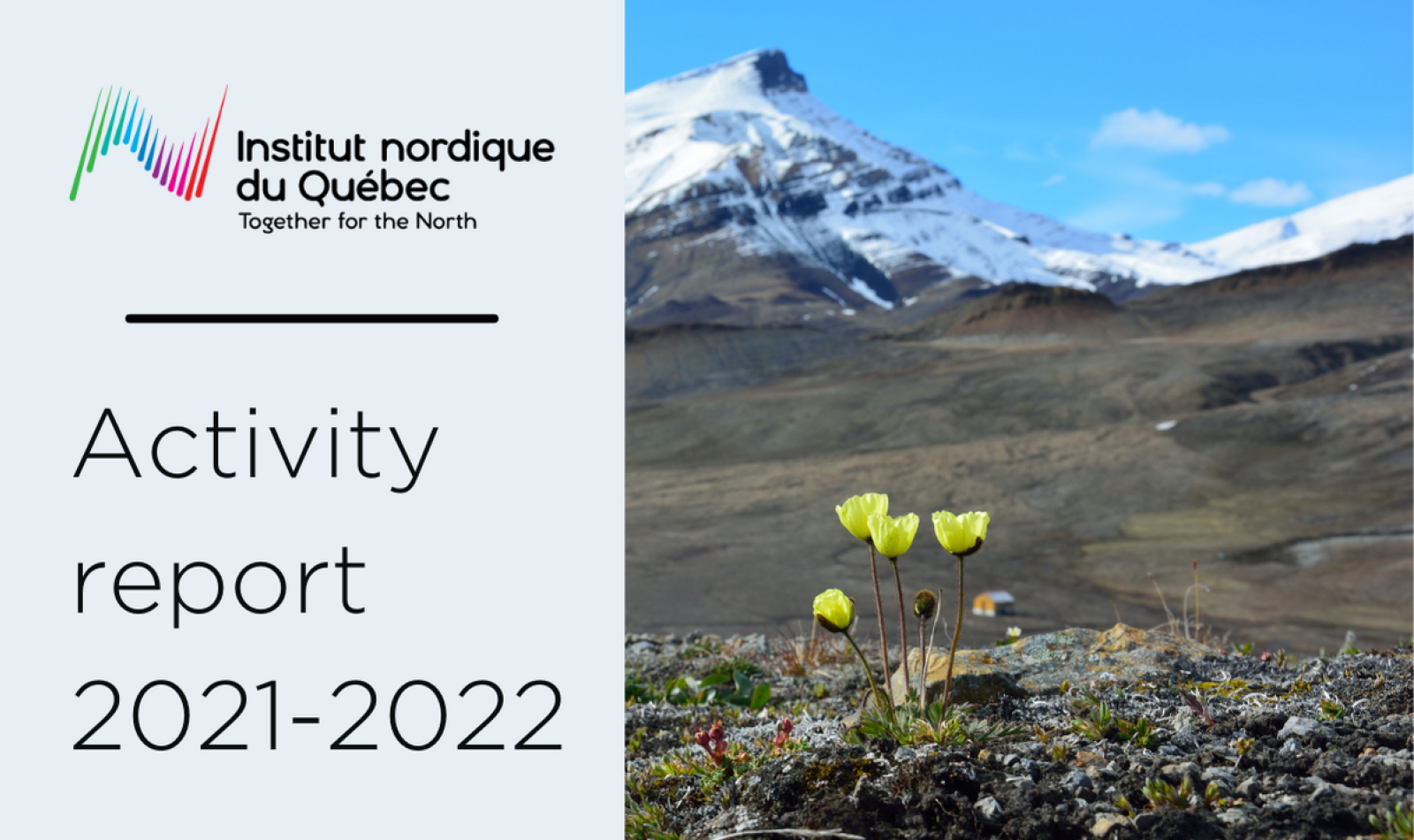 activity-report21-22