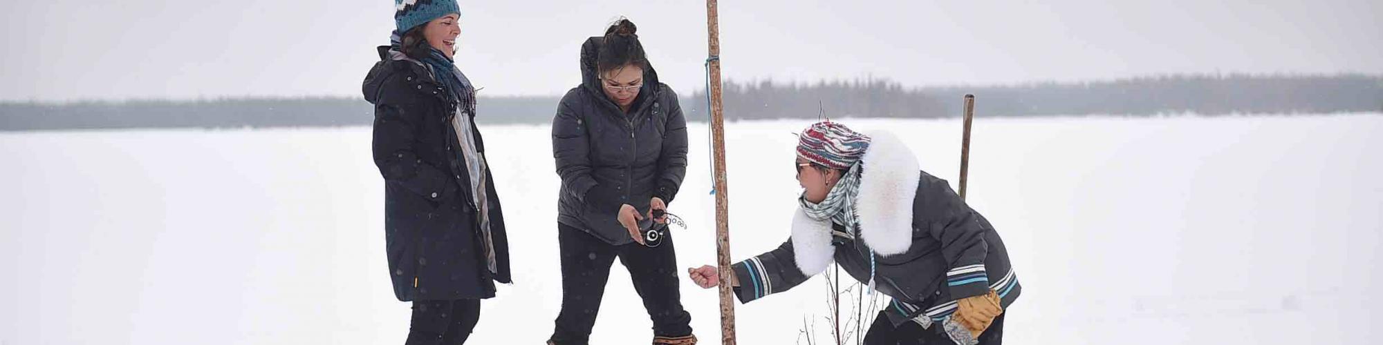 comite-des-premiers-peuples