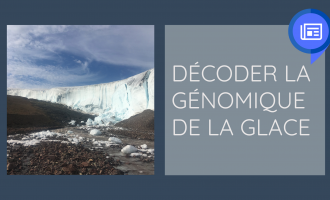 decoder-la-genomique-de-la-glace
