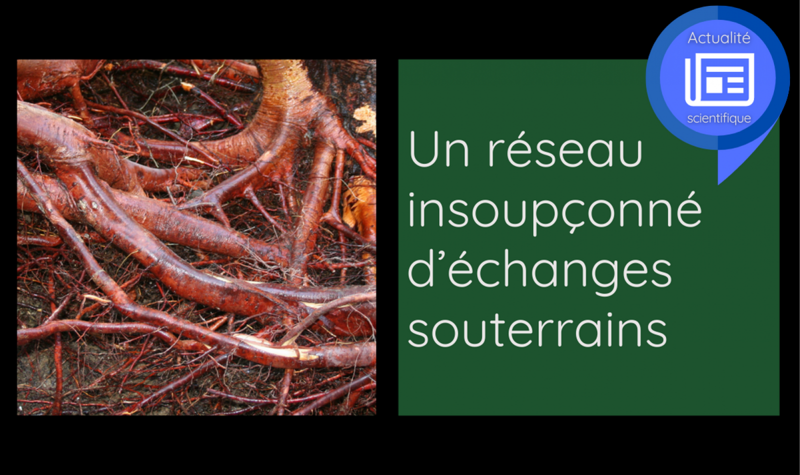 un-reseau-insoupconne-d-echanges-souterrains