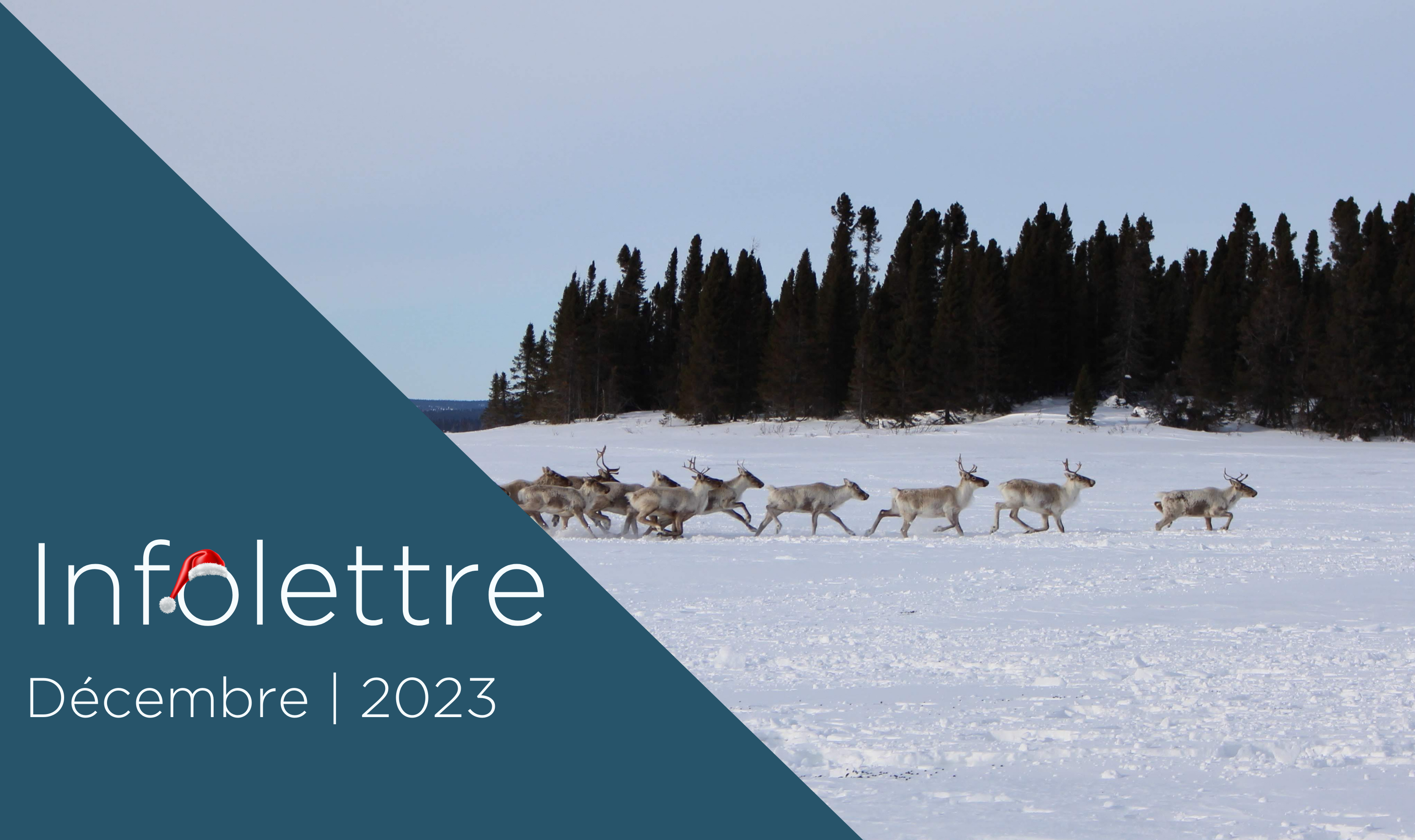 cover infolettre inq décembre 2023