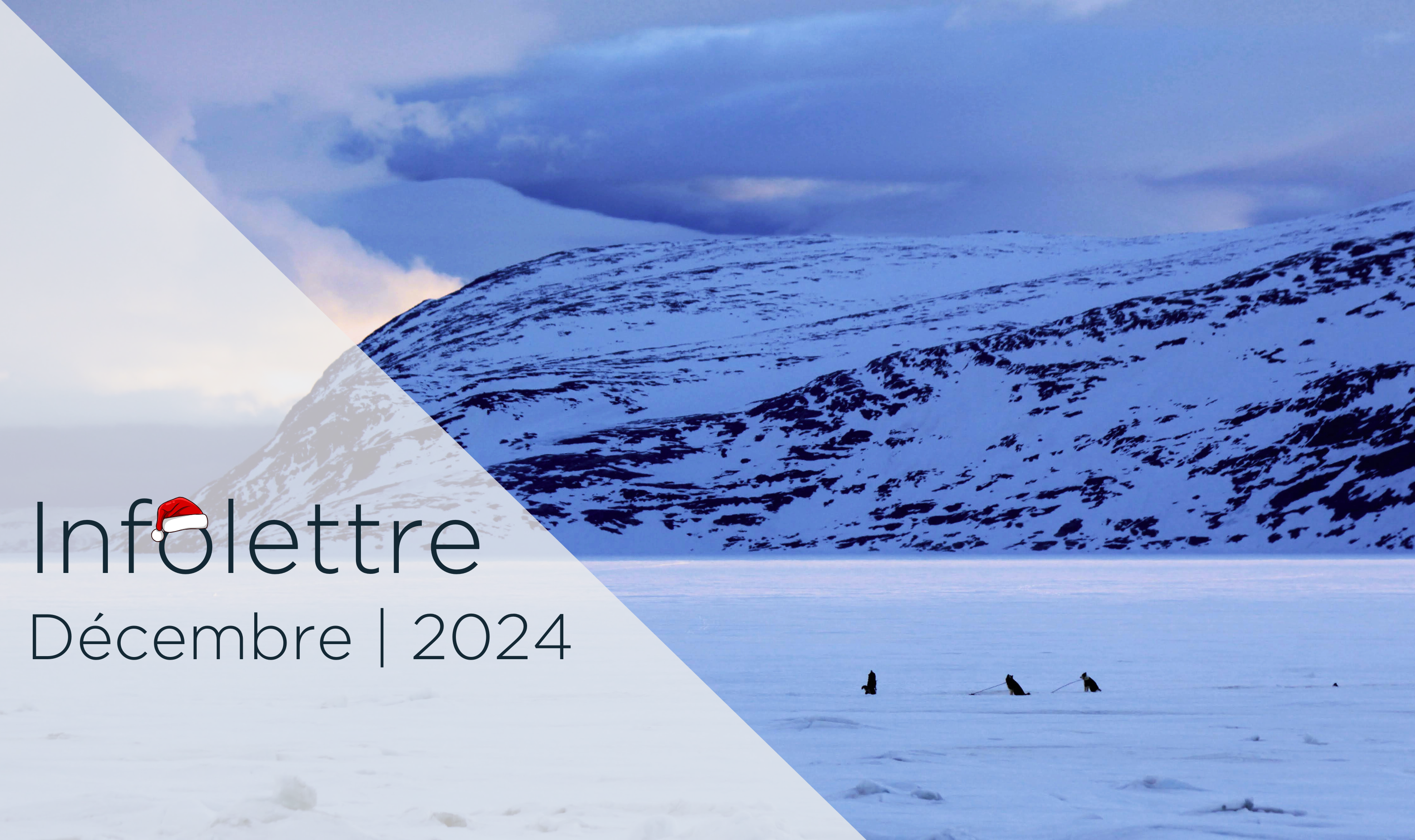 couverture de l'infolettre du mois de décembre 2024. Paysage nordique hivernal avec chiens.