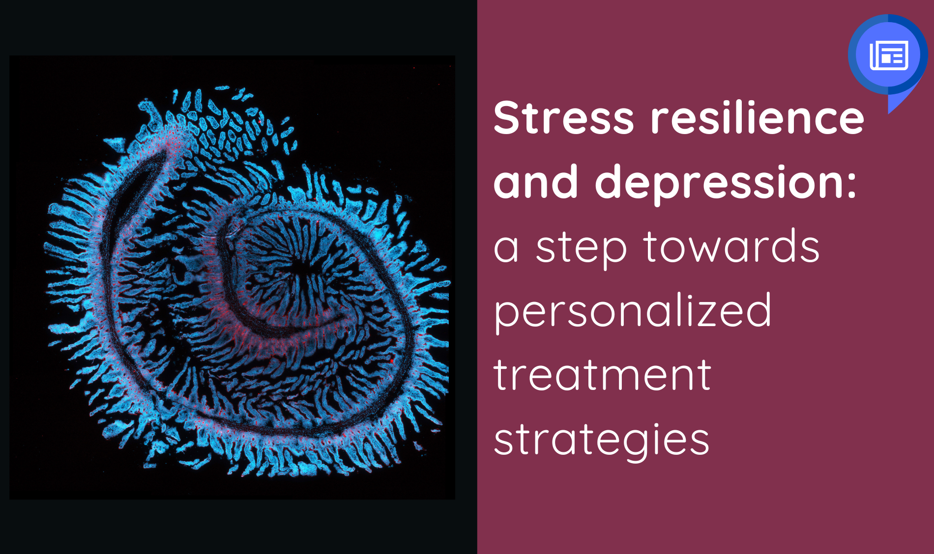 cover-scientific-news