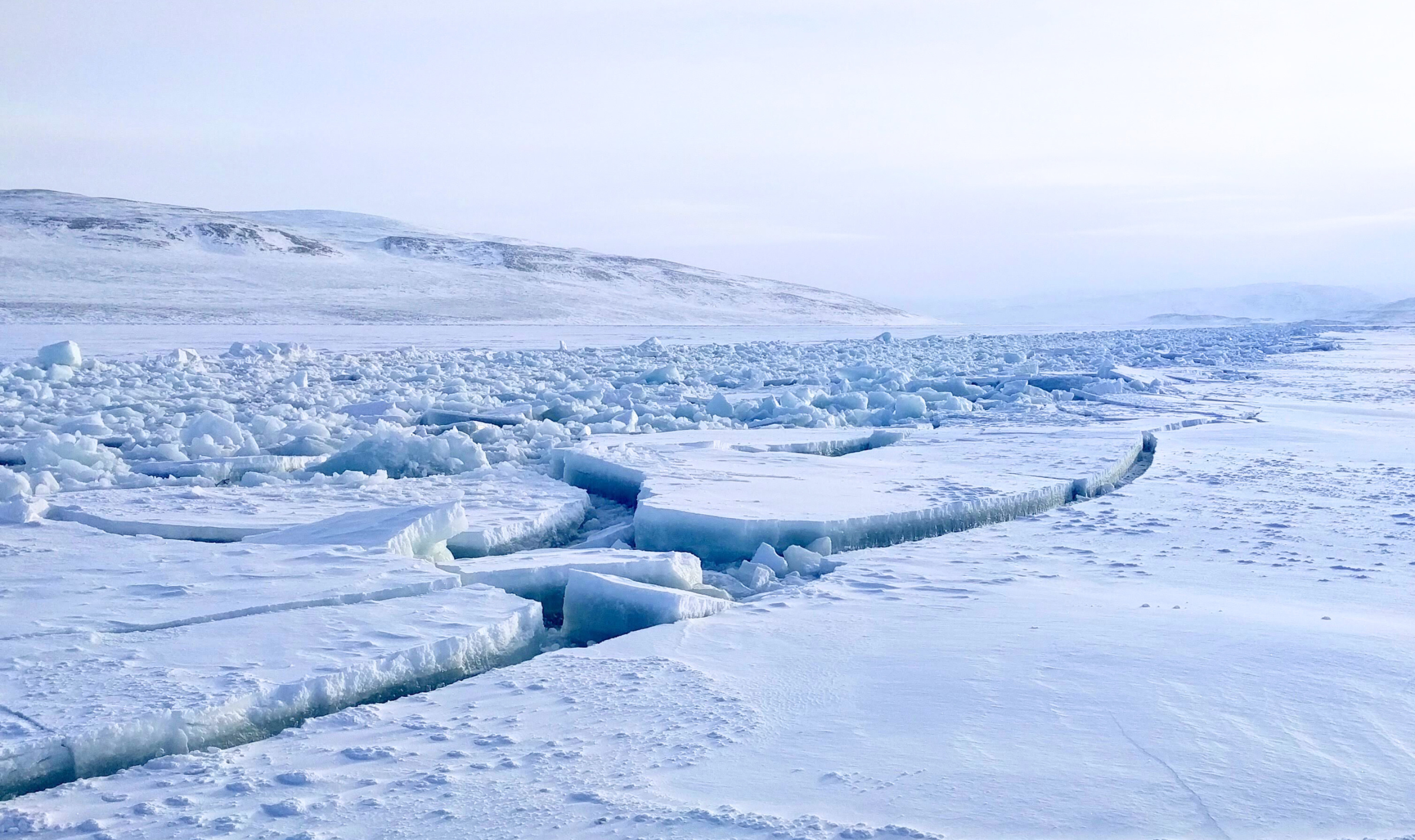 Infolettre de l'INQ | Novembre 2025