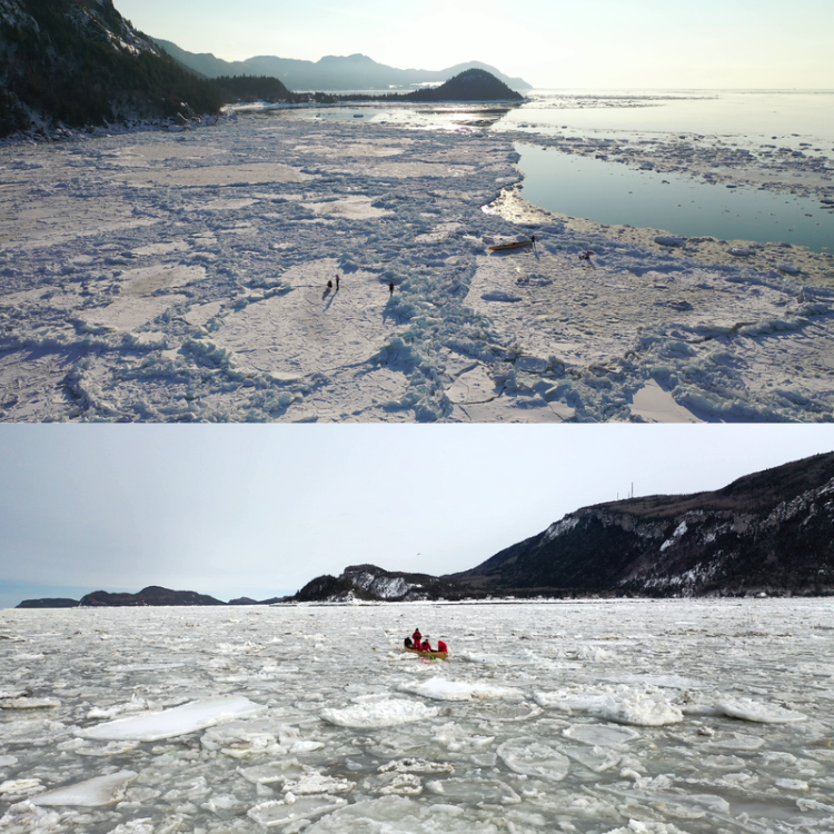 Photo du terrain envoyées par le chercheur Dany Dumont.