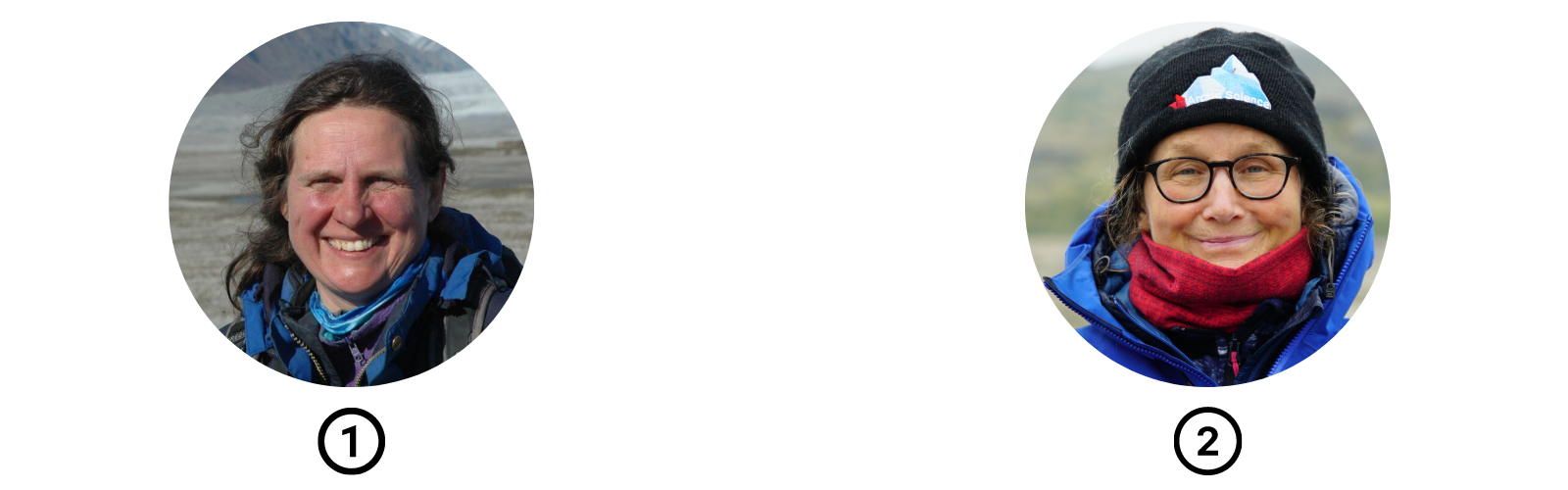 les-bleuets-feront-ils-encore-bleuir-la-toundra-chercheuse